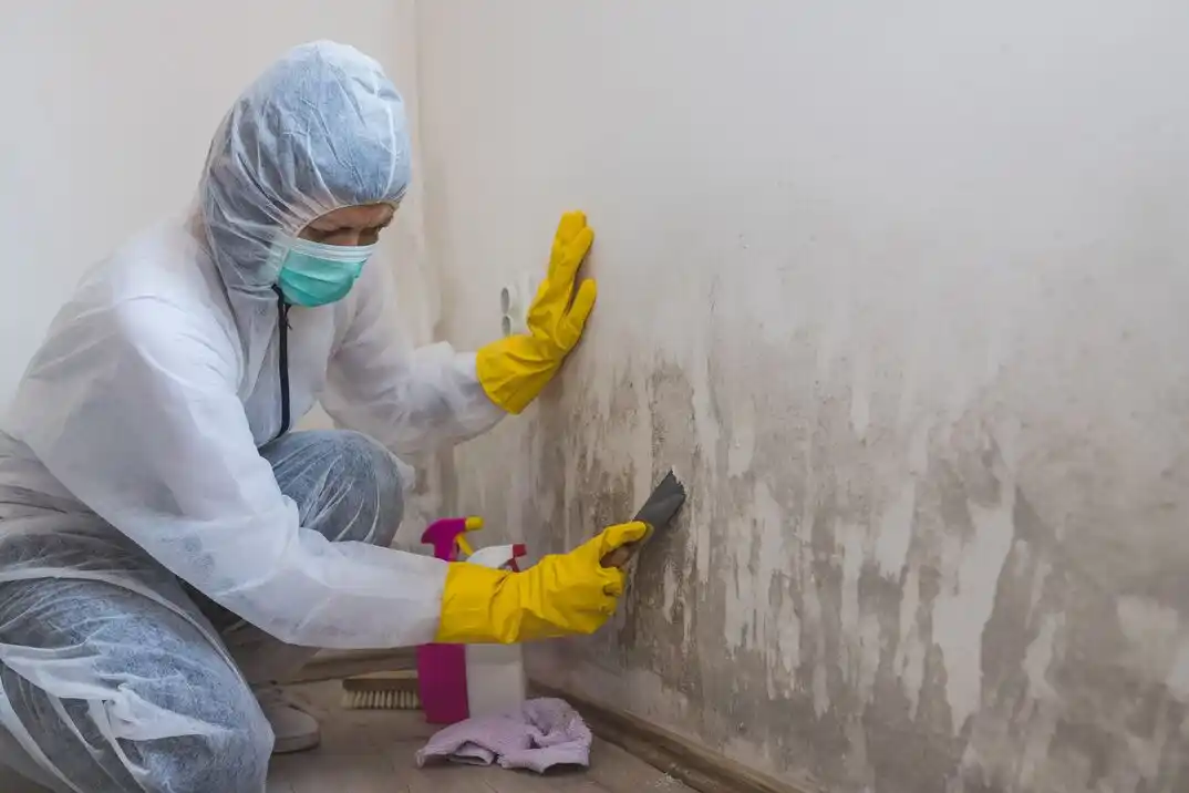 water damage restoration service Holly Hills